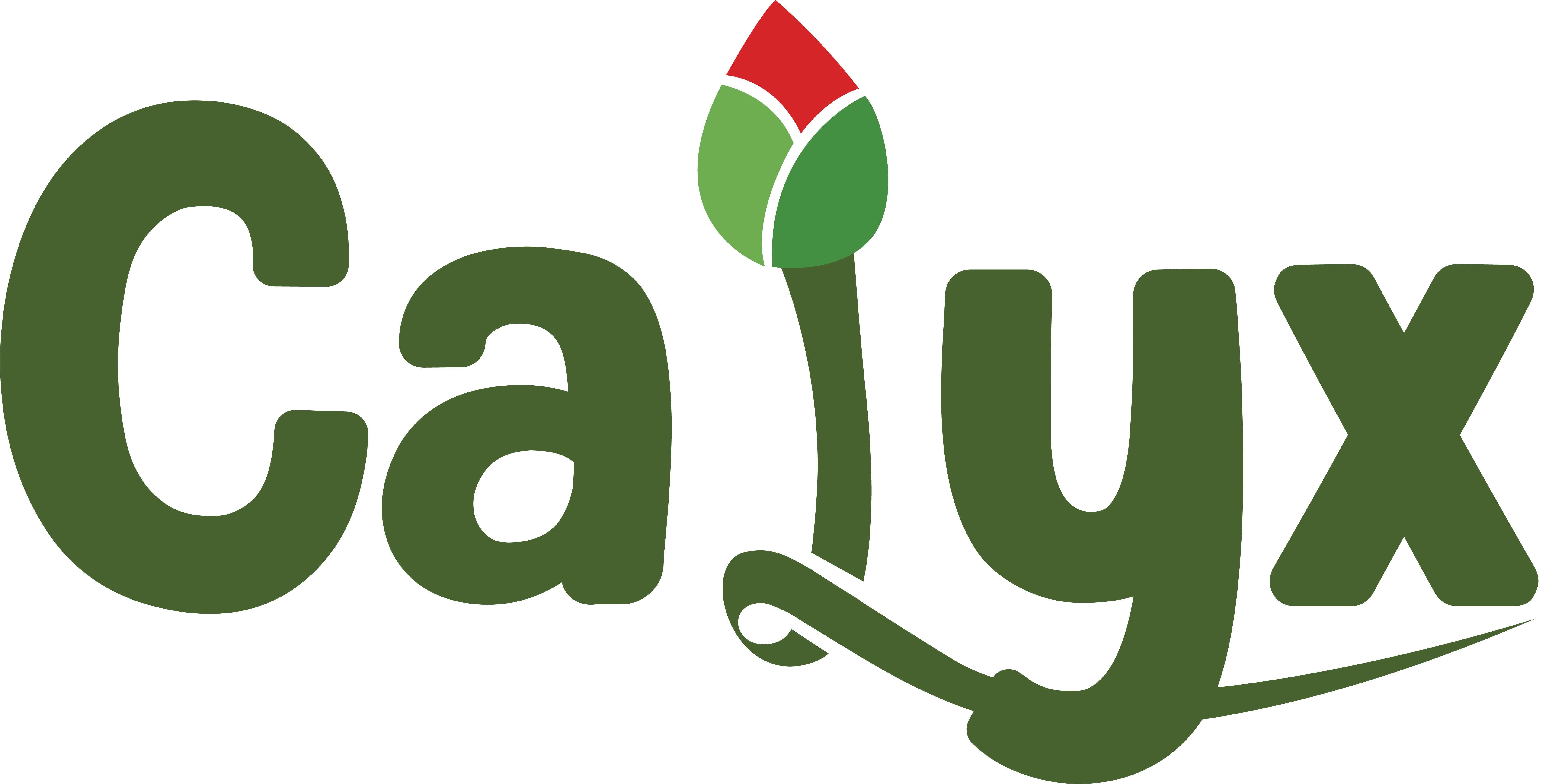 Calyx by Ratna Sagar - Fearless Learning Starts Here
